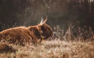 Jak Poznám Že Mám Tasemnici